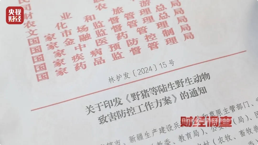 有极强攻击性！警方确认：当场击毙
