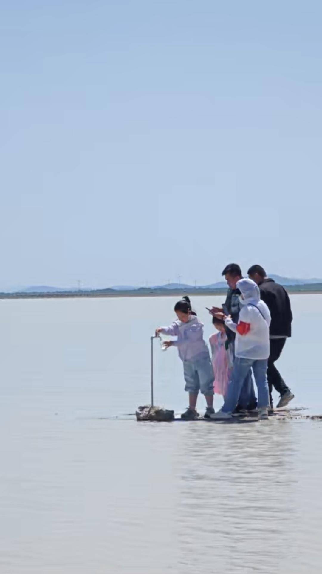 内蒙“牛奶湖”游客排队接奶？当地文旅局：是纯牛奶不是湖水，可放心喝