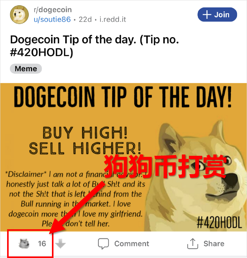 狗狗币什么狗(狗狗币是什么品种)