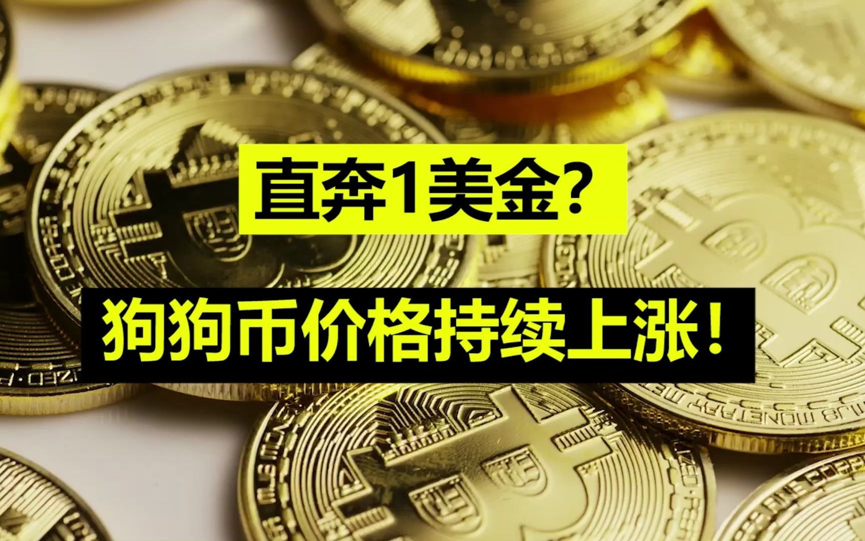 狗狗币靠谱吗(狗狗币可信吗)