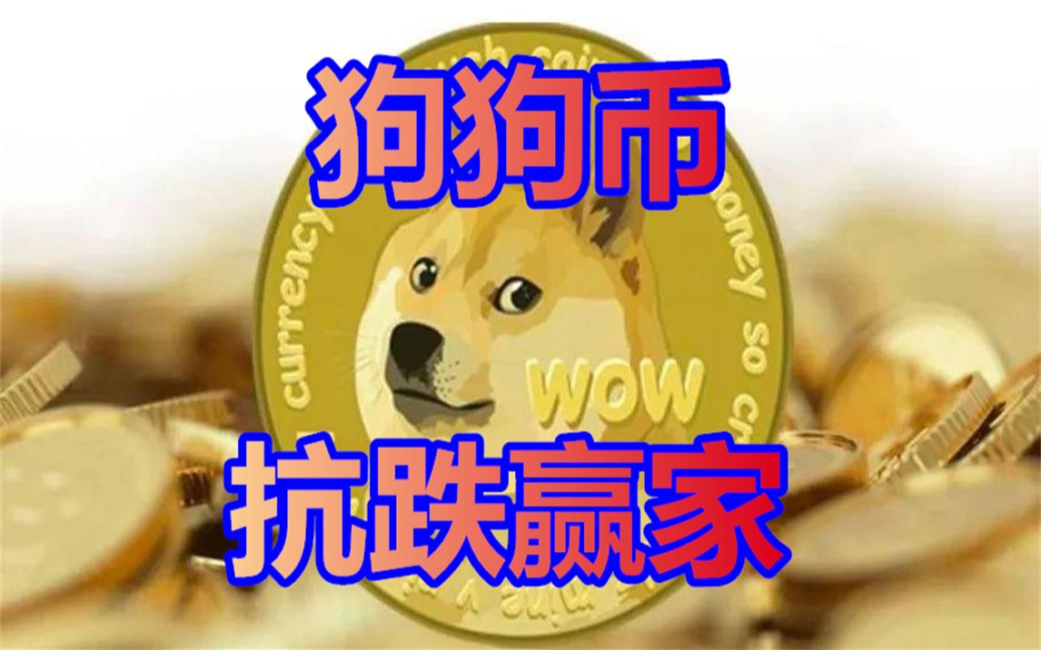 狗狗币跌(狗狗币跌了多少)