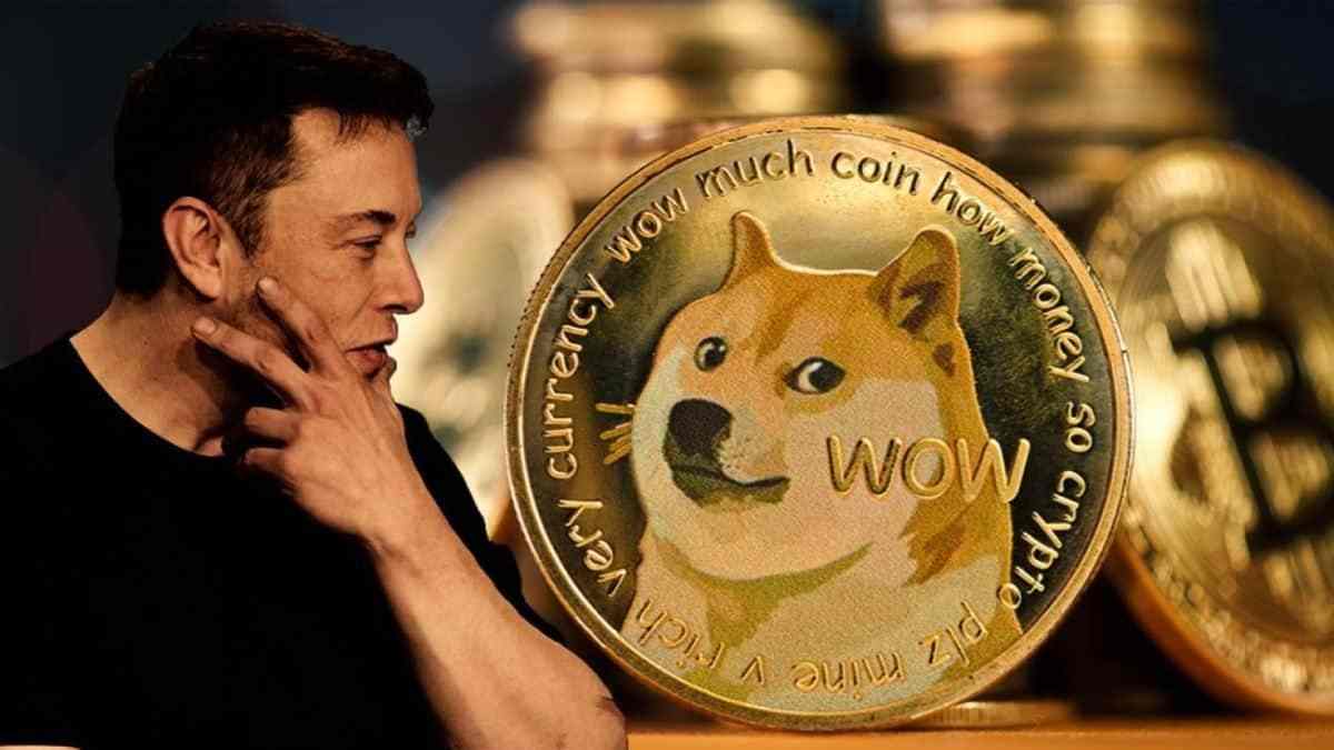 狗狗币持续下跌(狗狗币下跌会爆仓吗)