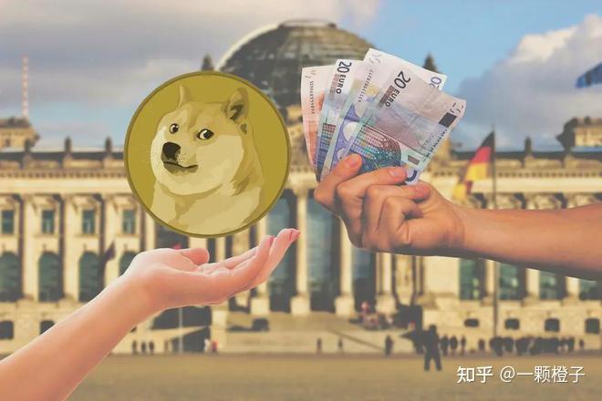 狗狗币投资(狗狗币投资经历)