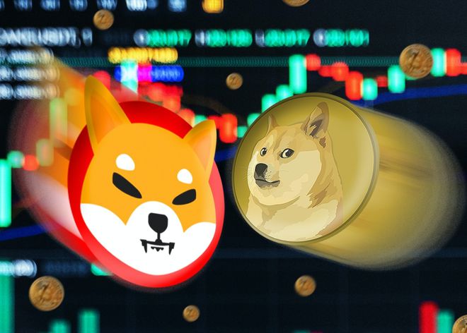 狗狗币能涨到1元钱吗(狗狗币能涨到1元钱吗视频)