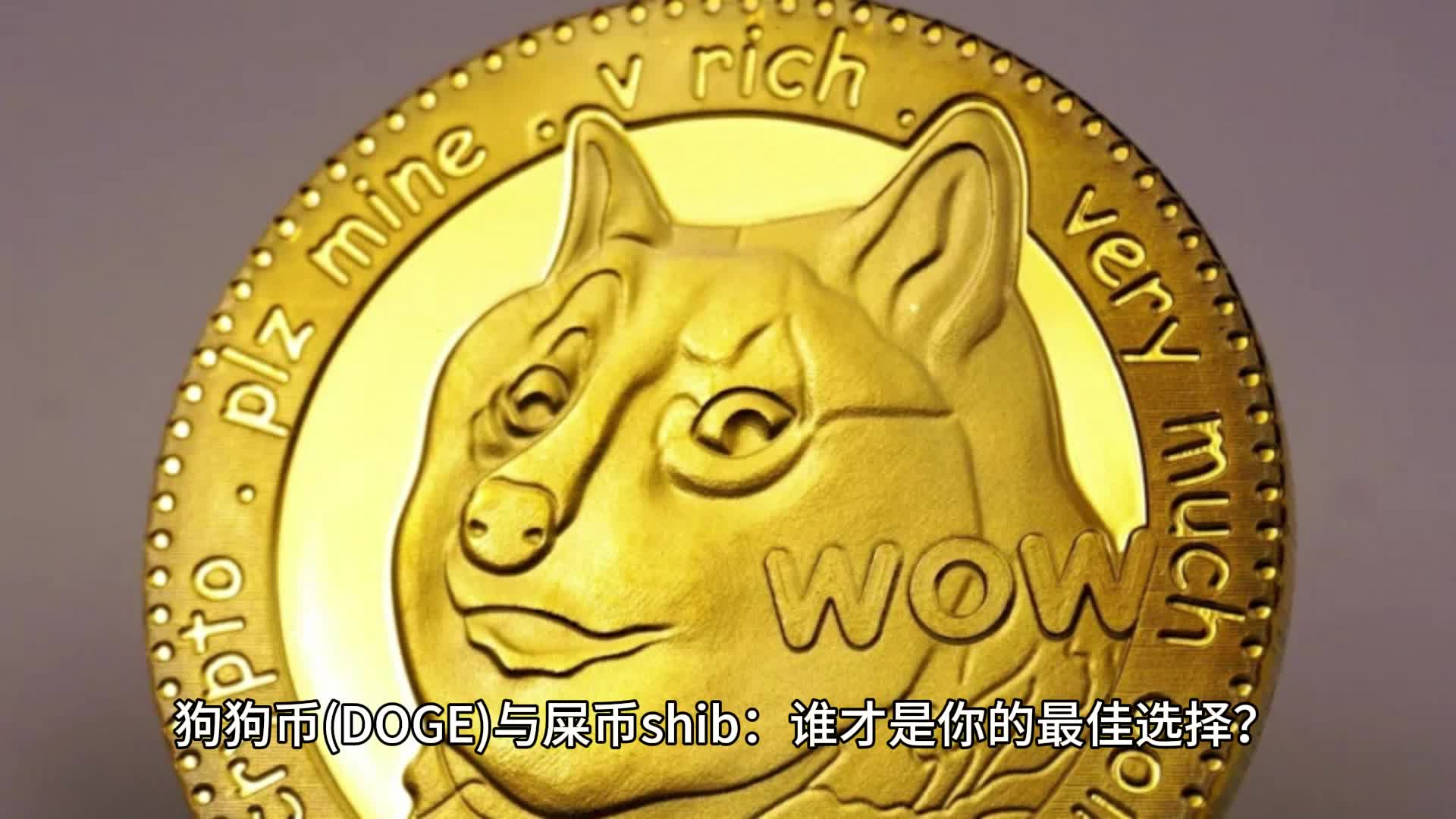 狗狗币最佳(狗狗币最高价位是多少)