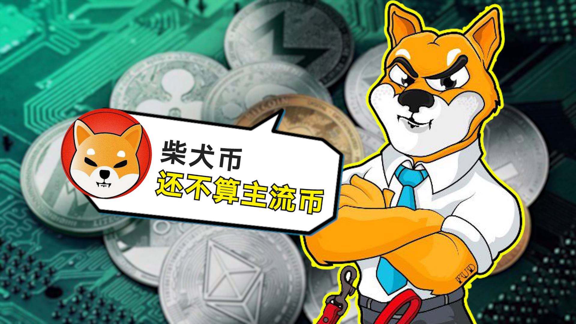 狗狗币2017能涨到多少(狗狗币2017年五月份价格)