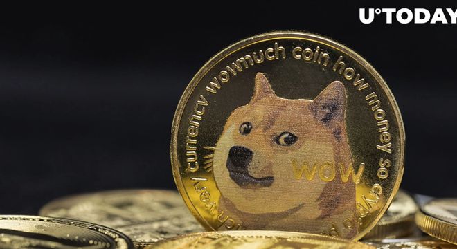 狗狗币有手机钱包吗(狗狗币手机钱包安全吗)