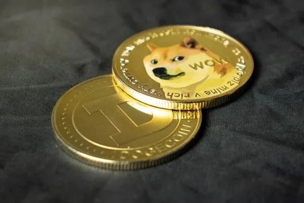 买狗狗币(买狗狗币会亏成负数吗)