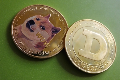 狗狗币最佳(狗狗币多少钱买合适?)