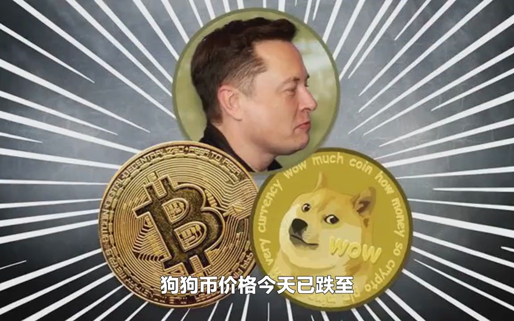 狗狗币登录网址(狗狗币网址怎么找)