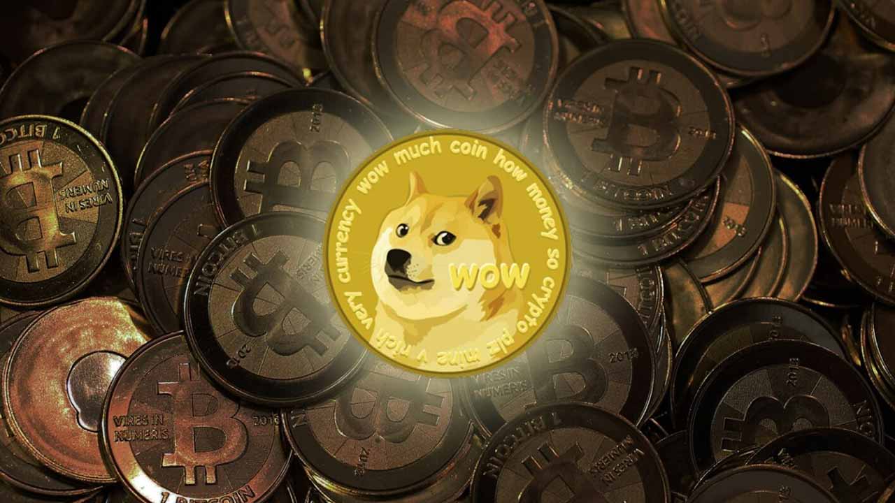 狗年狗狗币(狗年狗狗币多少钱)