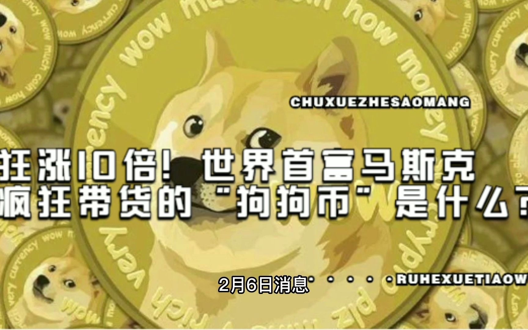 狗狗币是什么(狗狗币是什么时候暴涨的)