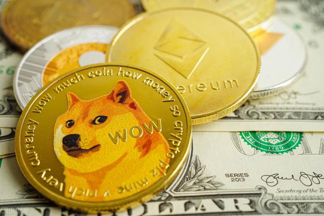 未来狗狗币(狗狗币未来能涨多少)