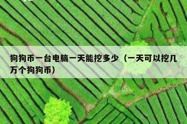 挖狗狗币(挖狗狗币的机器)