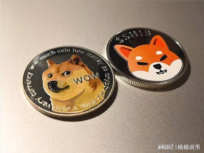 狗狗币的未来(狗狗币的未来趋势)