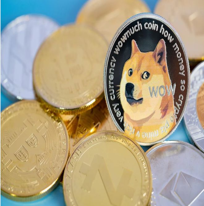 未来狗狗币(狗狗币未来2025价格)