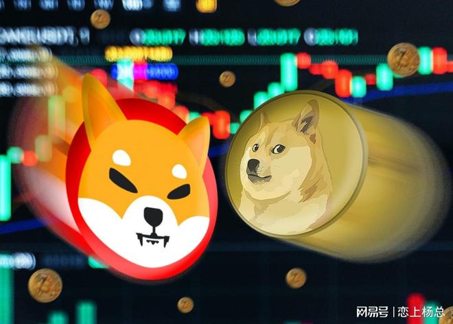 登陆狗狗币(怎么登录狗狗币钱包)