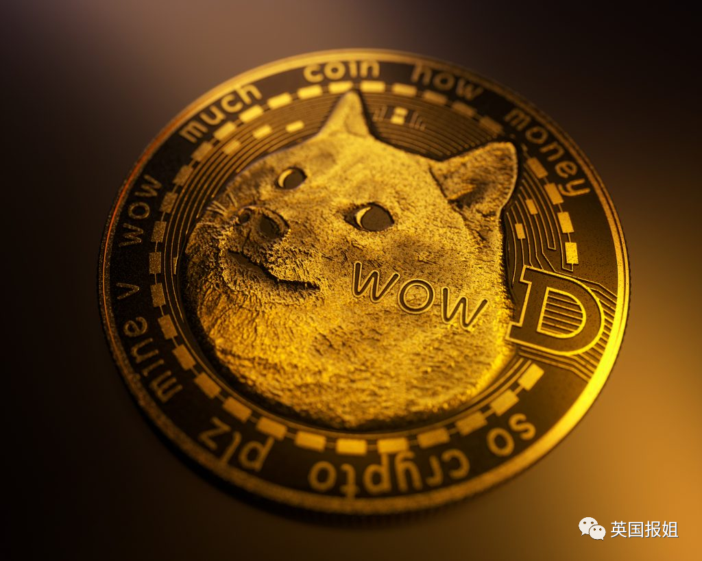 狗狗币投资(狗狗币投资者有多少)
