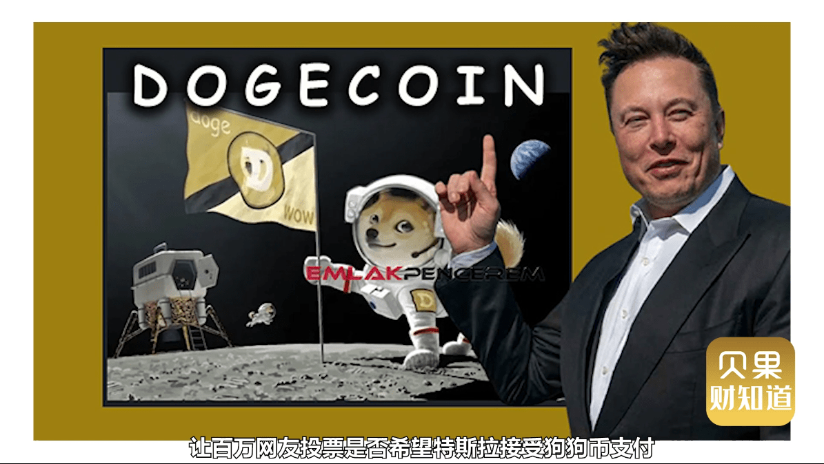 狗狗币老板(狗狗币老板是谁)