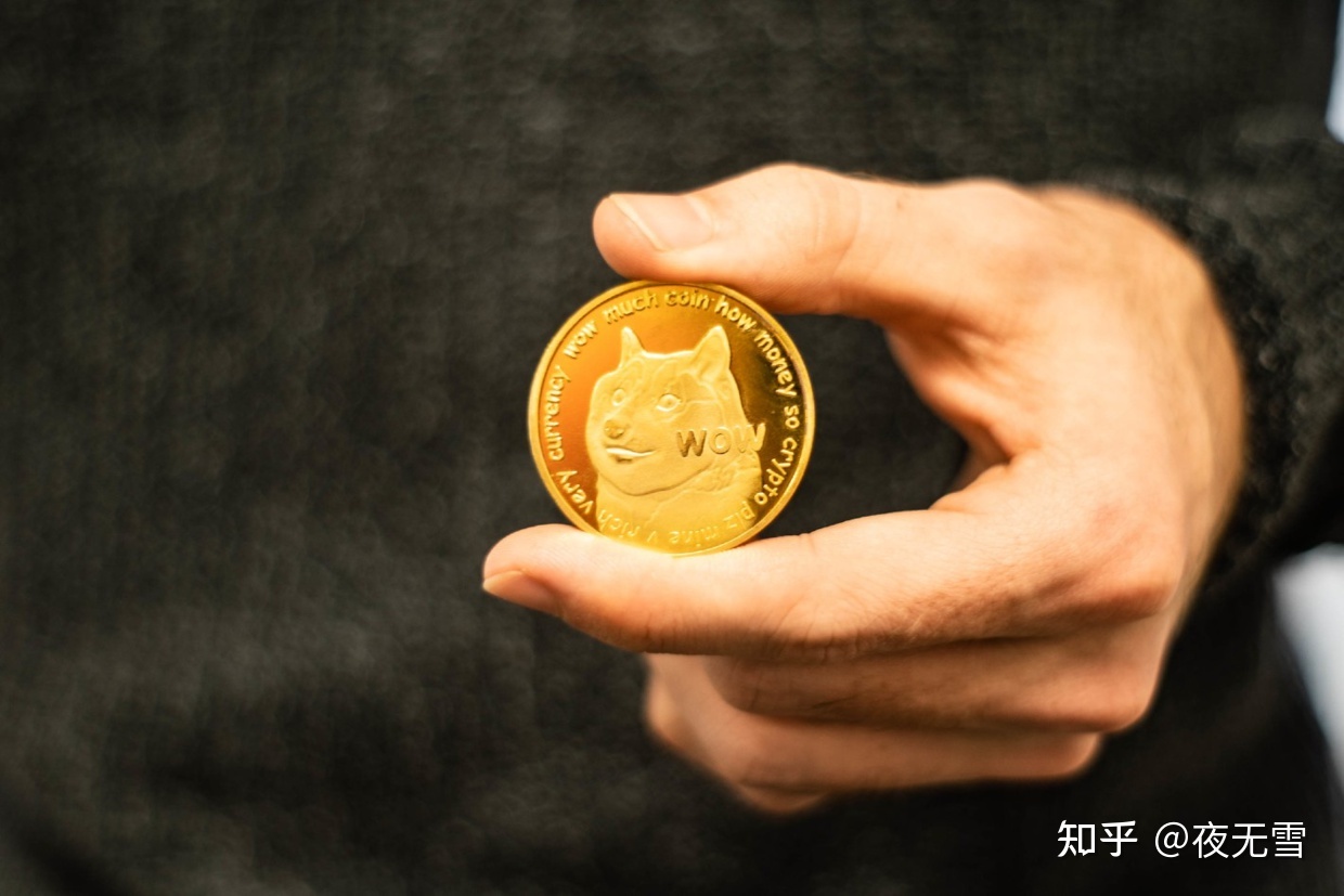 狗狗币靠谱吗(狗狗币是什么项目)