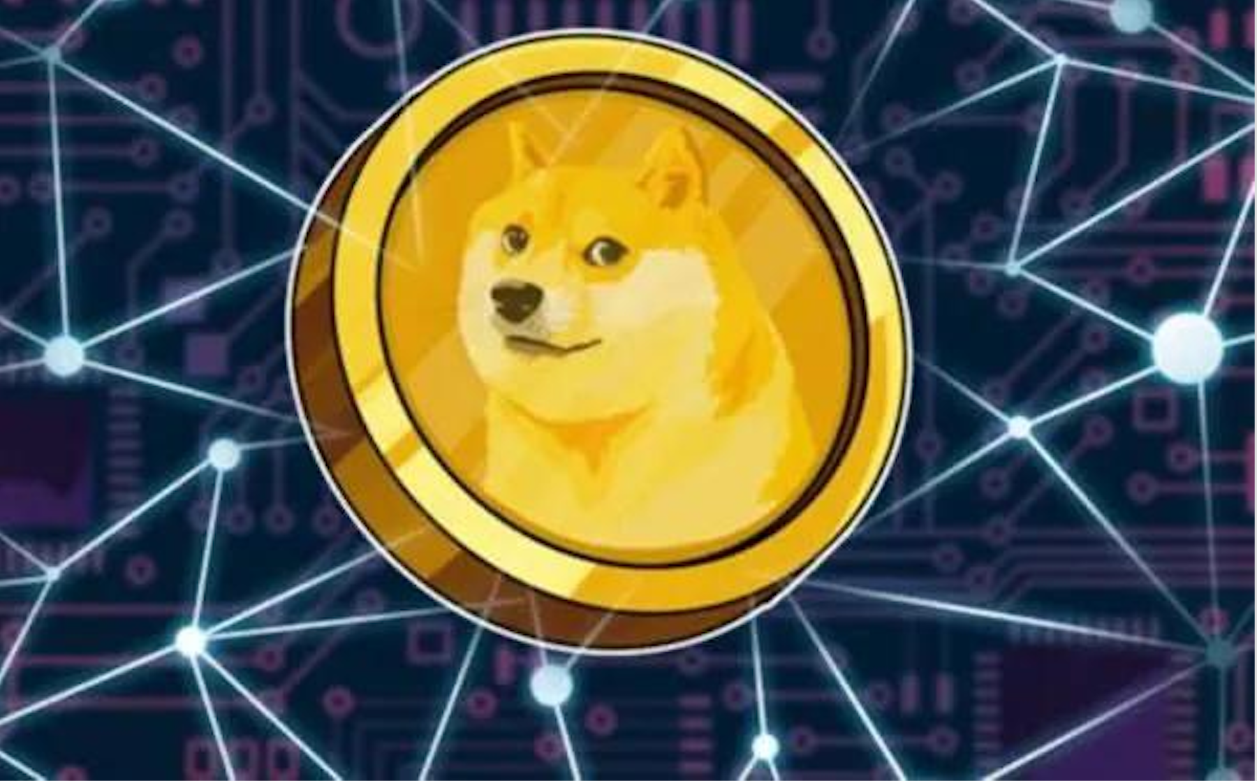 狗狗币登陆(狗狗币登录网站)