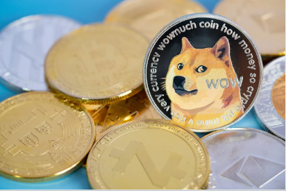 doge狗狗币(doge狗狗币前景)