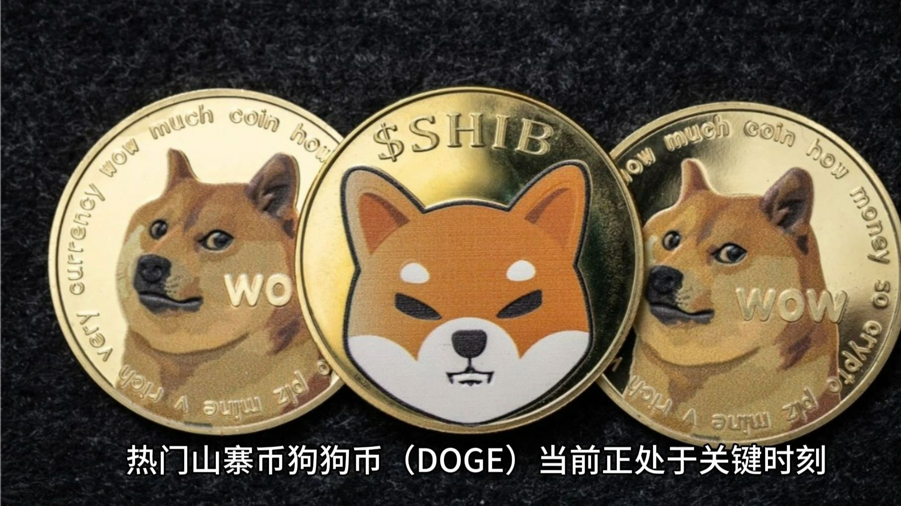 狗狗币交易(dogecoin狗狗币官网)